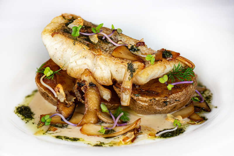 Grilovaný filet z candáta